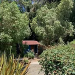 Cabanita Arbol