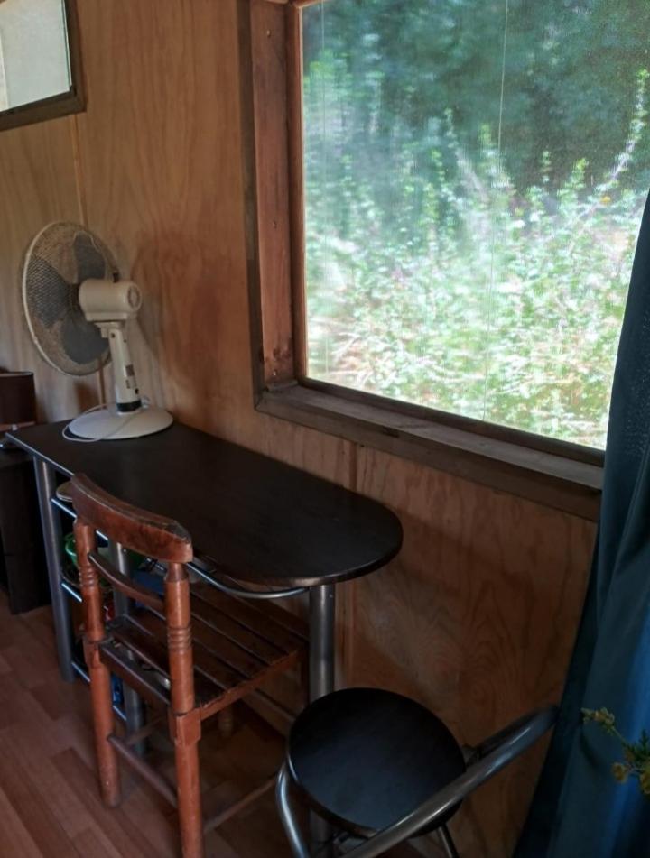 Apartamento Cabanita Arbol Isla Negra