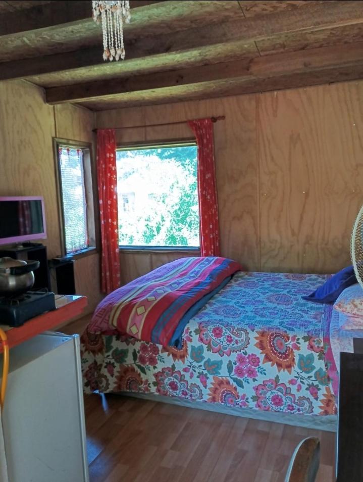 Apartamento Cabanita Arbol Isla Negra
